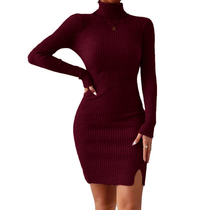 Solid Turtle Neck Regular Fit Casual Ribbed Knit Long Sleeve Bodycon Dress for Women