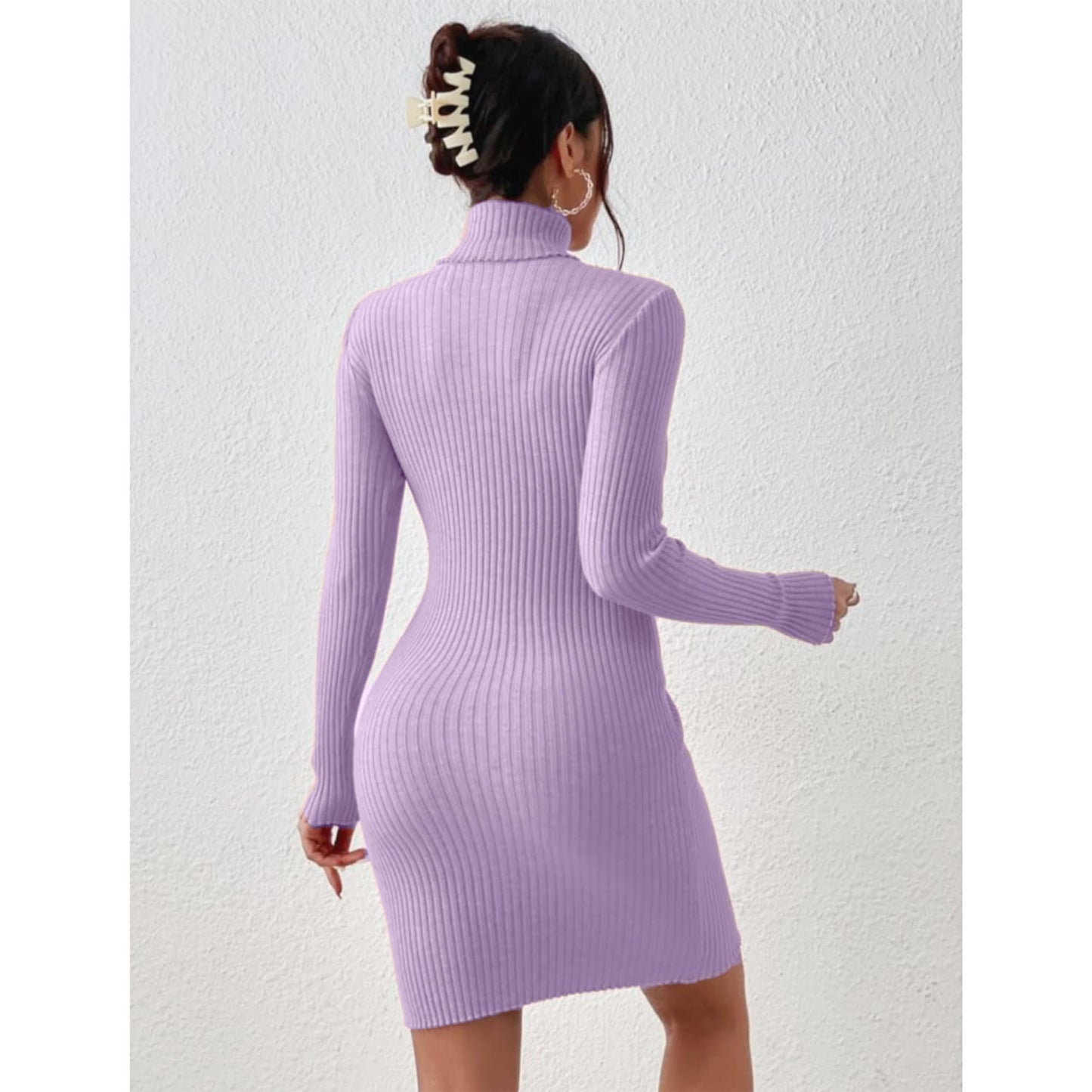 Solid Turtle Neck Regular Fit Casual Ribbed Knit Long Sleeve Bodycon Dress for Women