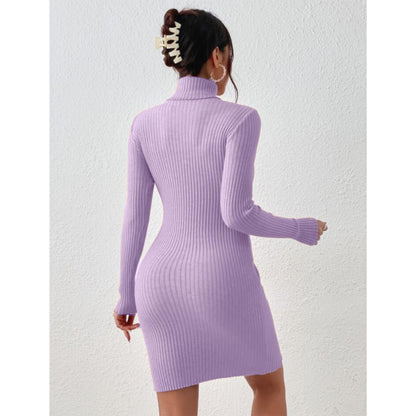Solid Turtle Neck Regular Fit Casual Ribbed Knit Long Sleeve Bodycon Dress for Women
