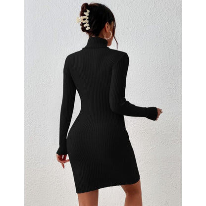 Solid Turtle Neck Regular Fit Casual Ribbed Knit Long Sleeve Bodycon Dress for Women