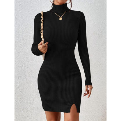 Solid Turtle Neck Regular Fit Casual Ribbed Knit Long Sleeve Bodycon Dress for Women