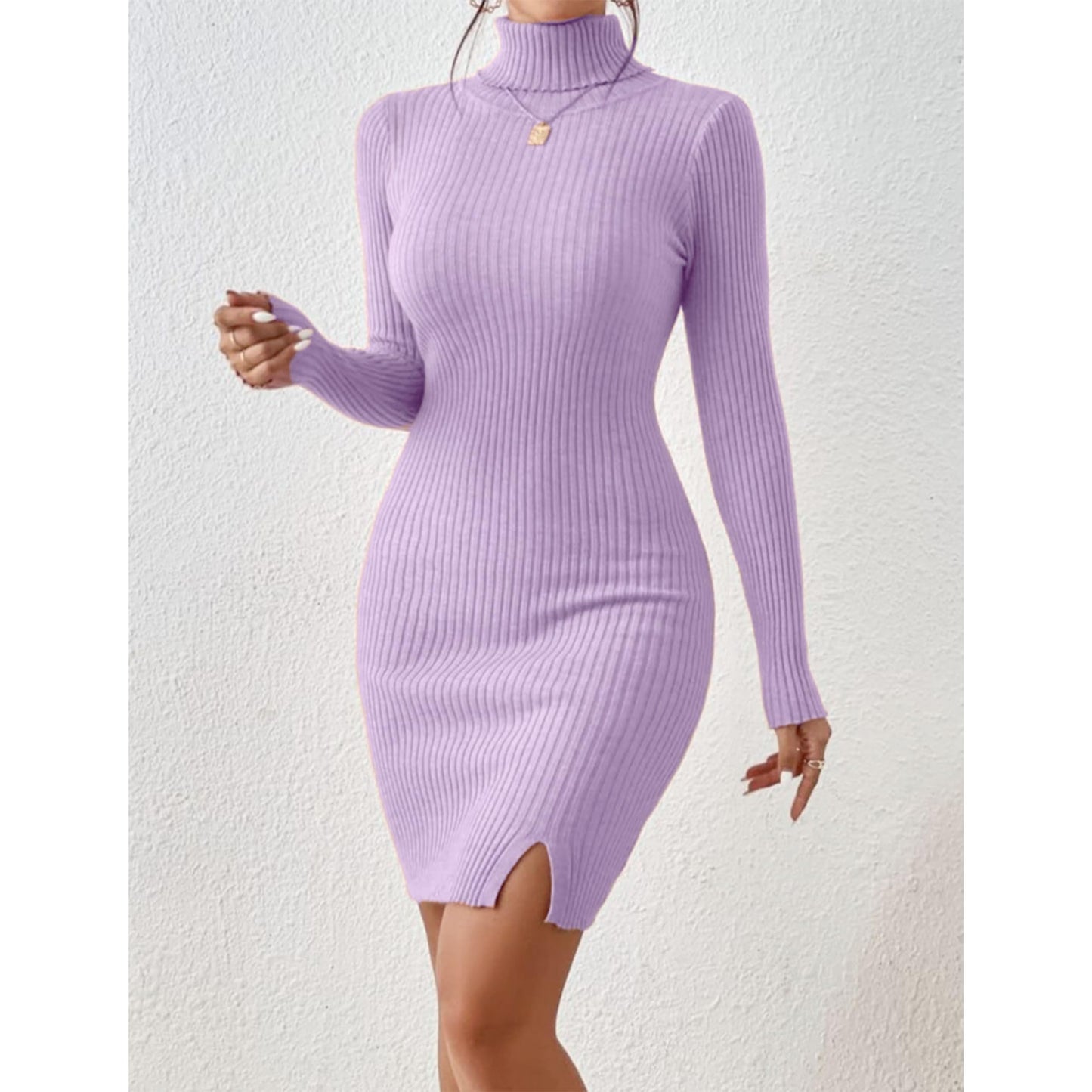 Solid Turtle Neck Regular Fit Casual Ribbed Knit Long Sleeve Bodycon Dress for Women