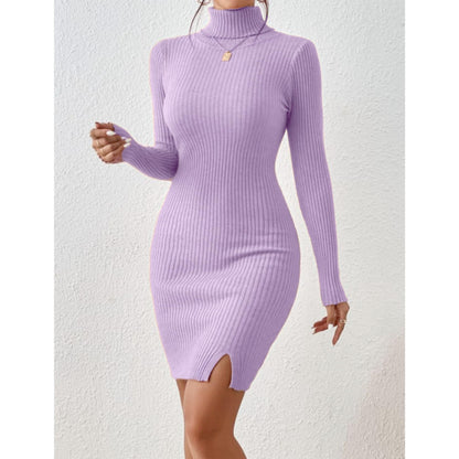 Solid Turtle Neck Regular Fit Casual Ribbed Knit Long Sleeve Bodycon Dress for Women
