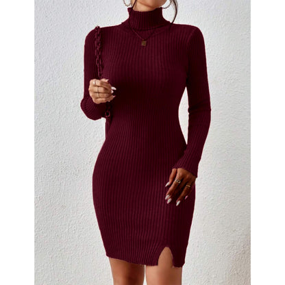 Solid Turtle Neck Regular Fit Casual Ribbed Knit Long Sleeve Bodycon Dress for Women
